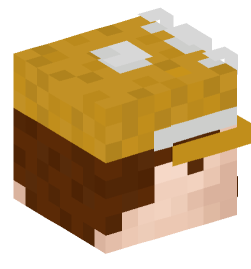 Minecraft head — People