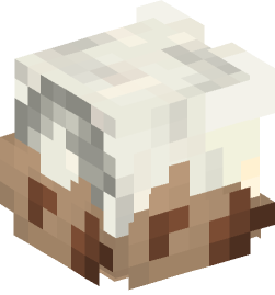 Minecraft head — Decor