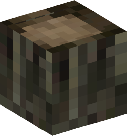 Minecraft head — Blocks