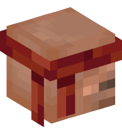 Minecraft head — People