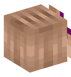 Minecraft head — People