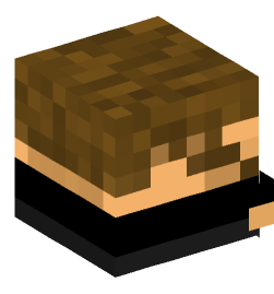 Minecraft head — Decor