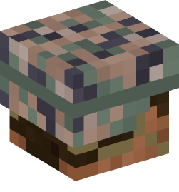 Minecraft head — People