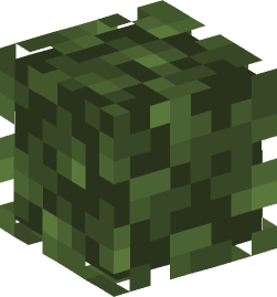 Minecraft head — Plants