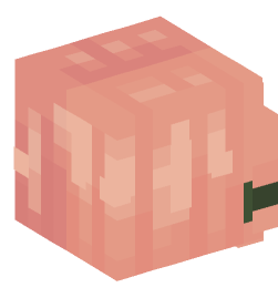 Minecraft head — People