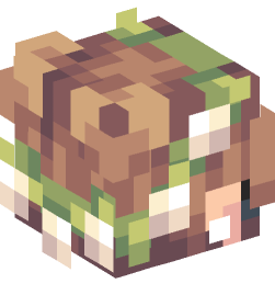 Minecraft head — People