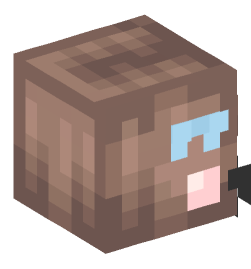 Minecraft head — People