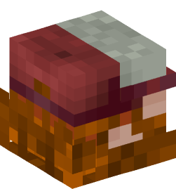 Minecraft head — People