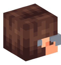 Minecraft head — People