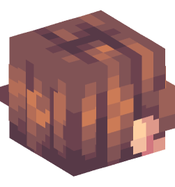 Minecraft head — People