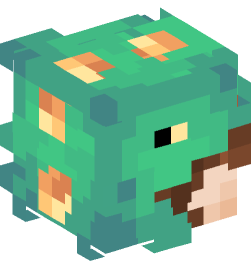 Minecraft head — People