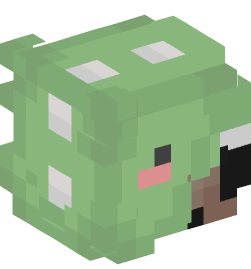 Minecraft head — People