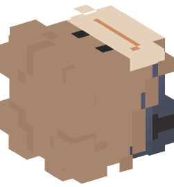 Minecraft head — People