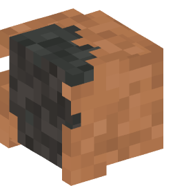 Minecraft head — Monsters