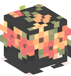 Minecraft head — People