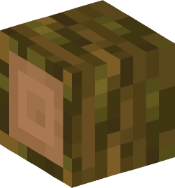 Minecraft head — Blocks