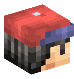 Minecraft head — People