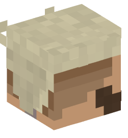 Minecraft head — People