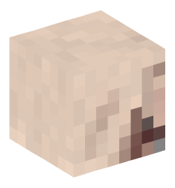 Minecraft head — Creatures