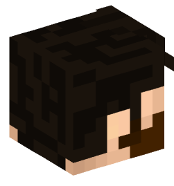 Minecraft head — People