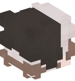 Minecraft head — People