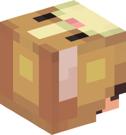 Minecraft head — People