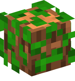 Minecraft head — Decor