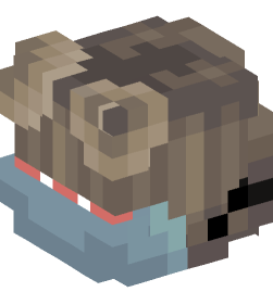 Minecraft head — People