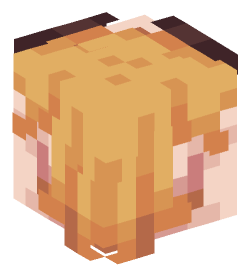 Minecraft head — People