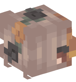 Minecraft head — People