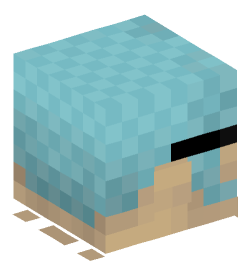 Minecraft head — People