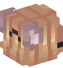 Minecraft head — People