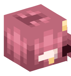 Minecraft head — Creatures