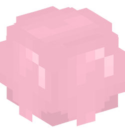 Minecraft head — Decor