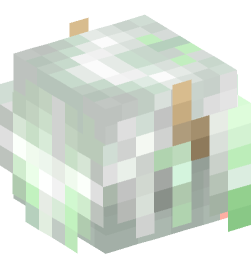 Minecraft head — Creatures