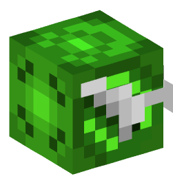 Minecraft head — People