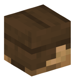 Minecraft head — Decor