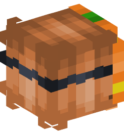 Minecraft head — People