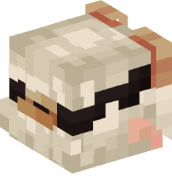 Minecraft head — People