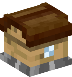 Minecraft head — Decor