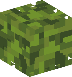 Minecraft head — Plants