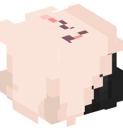 Minecraft head — People