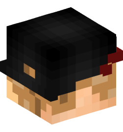 Minecraft head — People