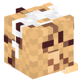 Minecraft head — Decor