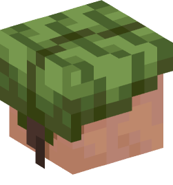 Minecraft head — Creatures