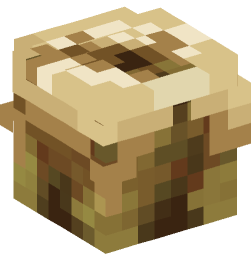 Minecraft head — Decor