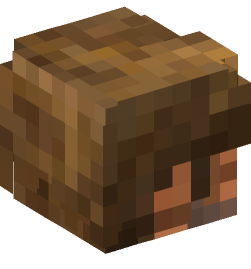 Minecraft head — People