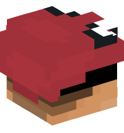 Minecraft head — People