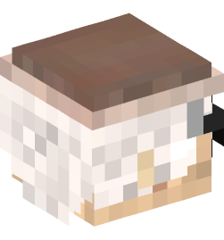 Minecraft head — People