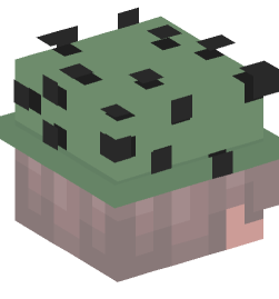 Minecraft head — People